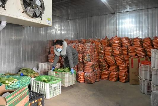石家庄确诊关联北京，疫情传播链追踪与防控措施分析