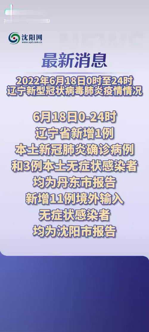 沈阳疫区封锁令最新动态，防控措施升级与市民应对指南