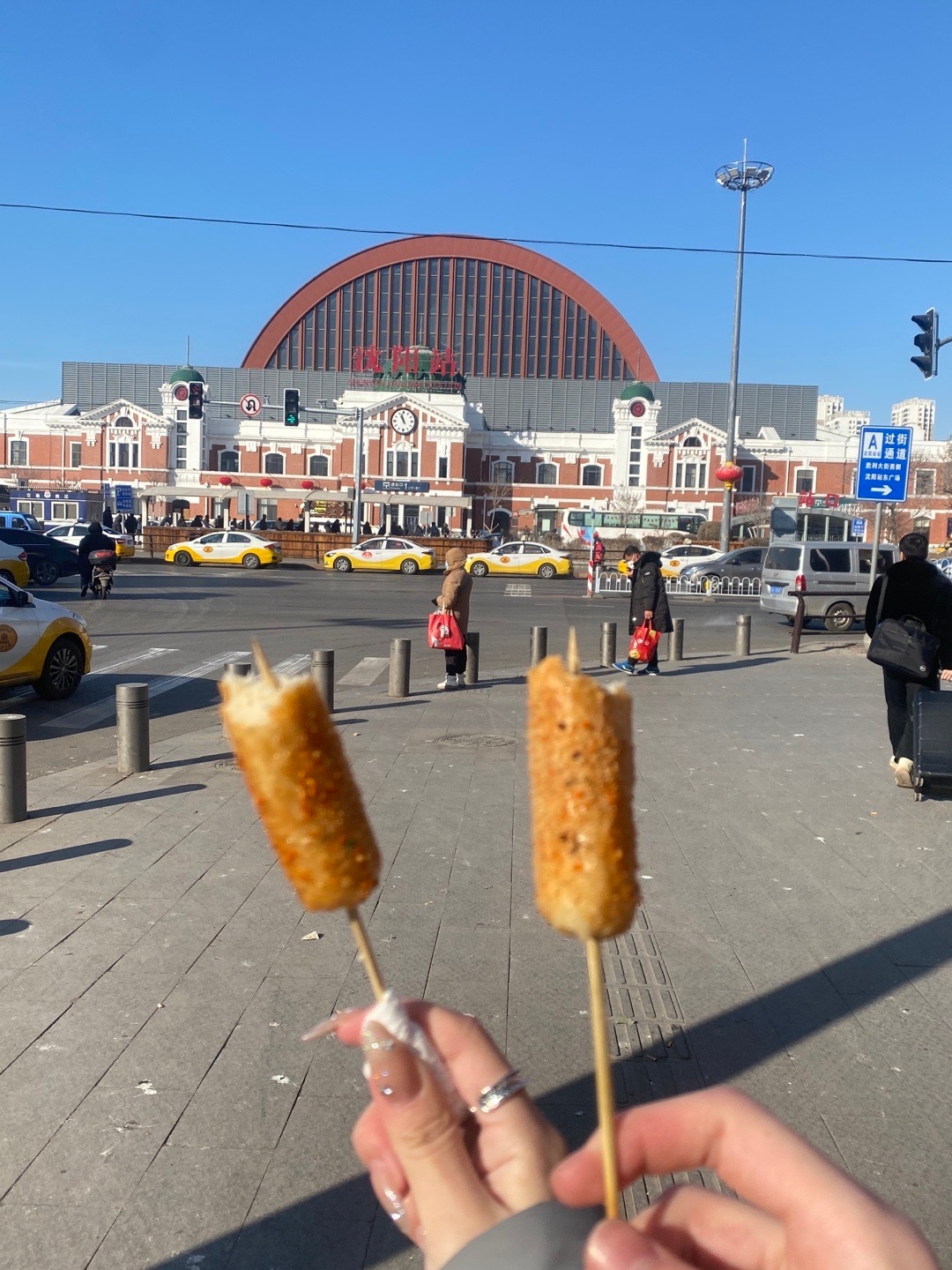 沈阳疫情下的溜达鸡，一场意外的城市风景线