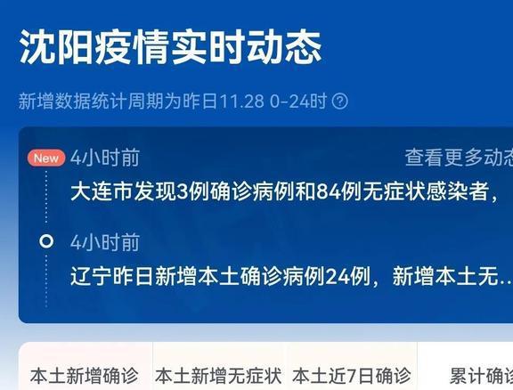 沈阳疫情点位深度解析，防控措施、风险区域与市民应对指南
