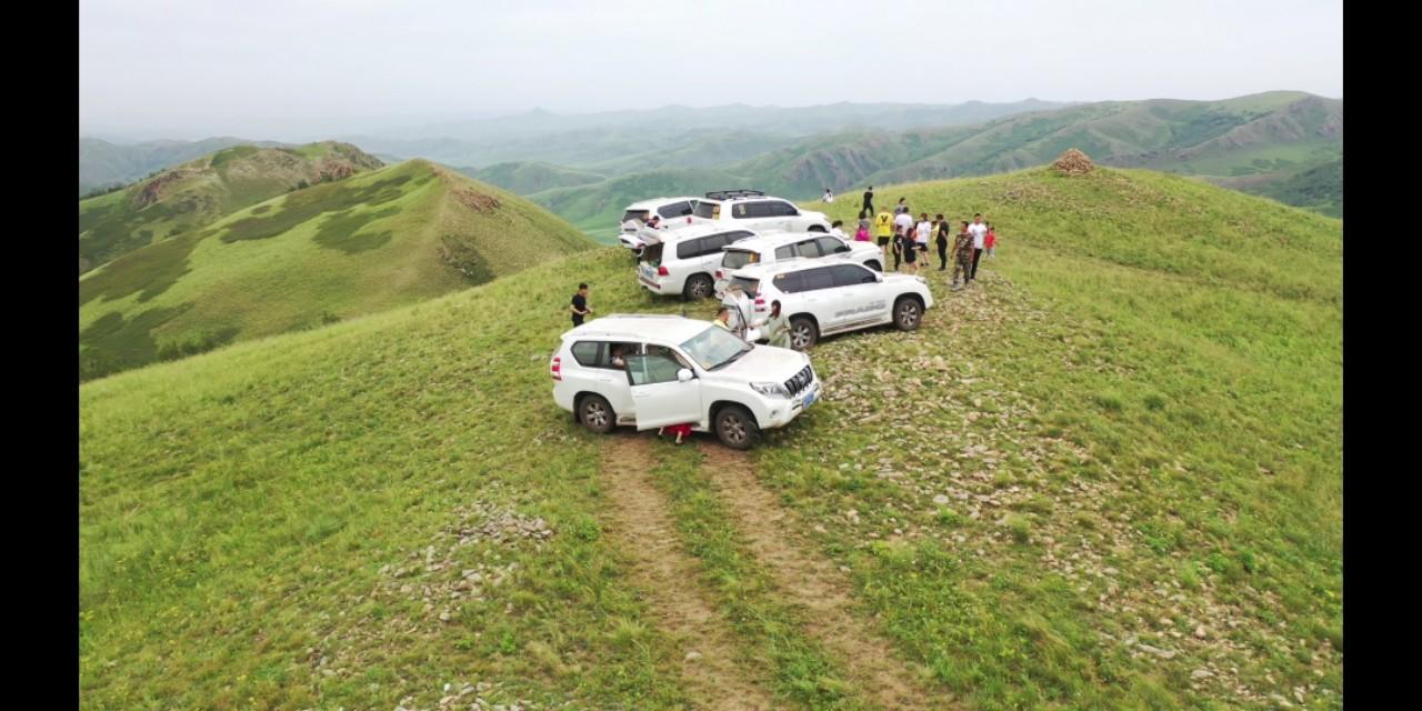 沈阳新增本土确诊与内蒙古关联，疫情溯源与防控措施解析