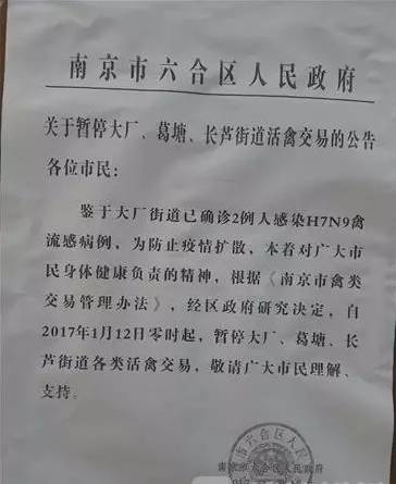 沈阳南京确诊病例激增，防控措施与市民应对指南