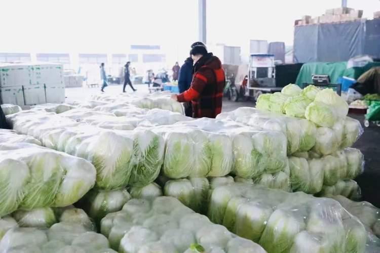 上海发布最新防疫政策，精准防控与民生保障并举