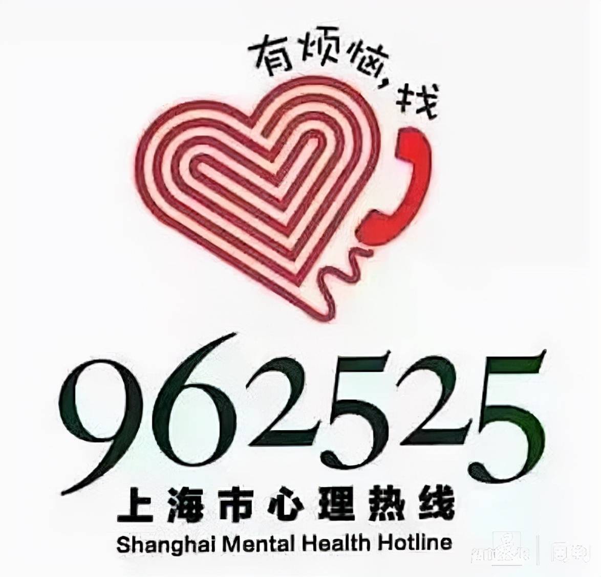 上海疫情防控中心电话全指南，关键时刻的救命热线