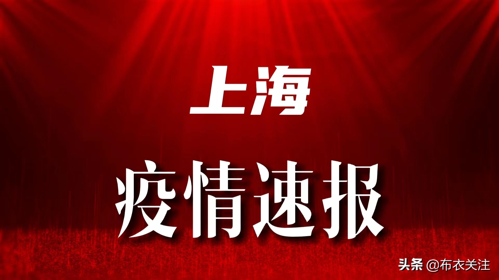 上海疫情防控通报，最新进展与市民应对指南