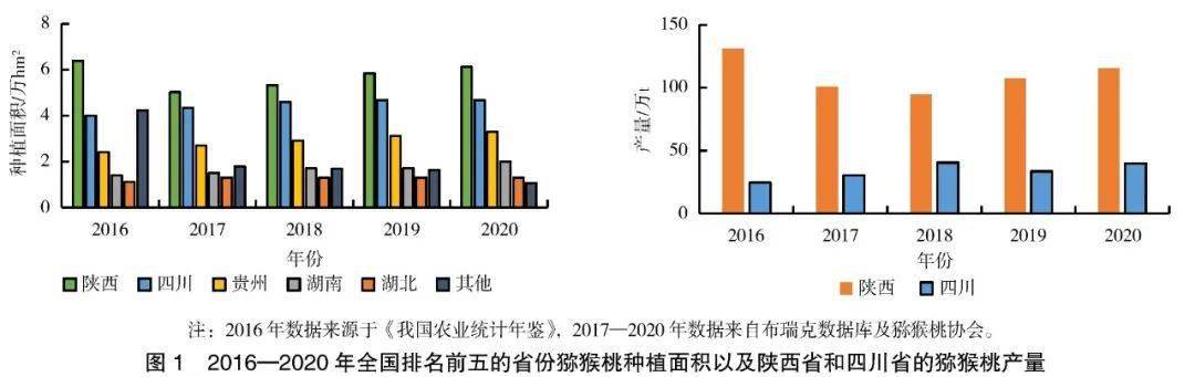 上海新型传染病防控，现状、挑战与未来应对策略