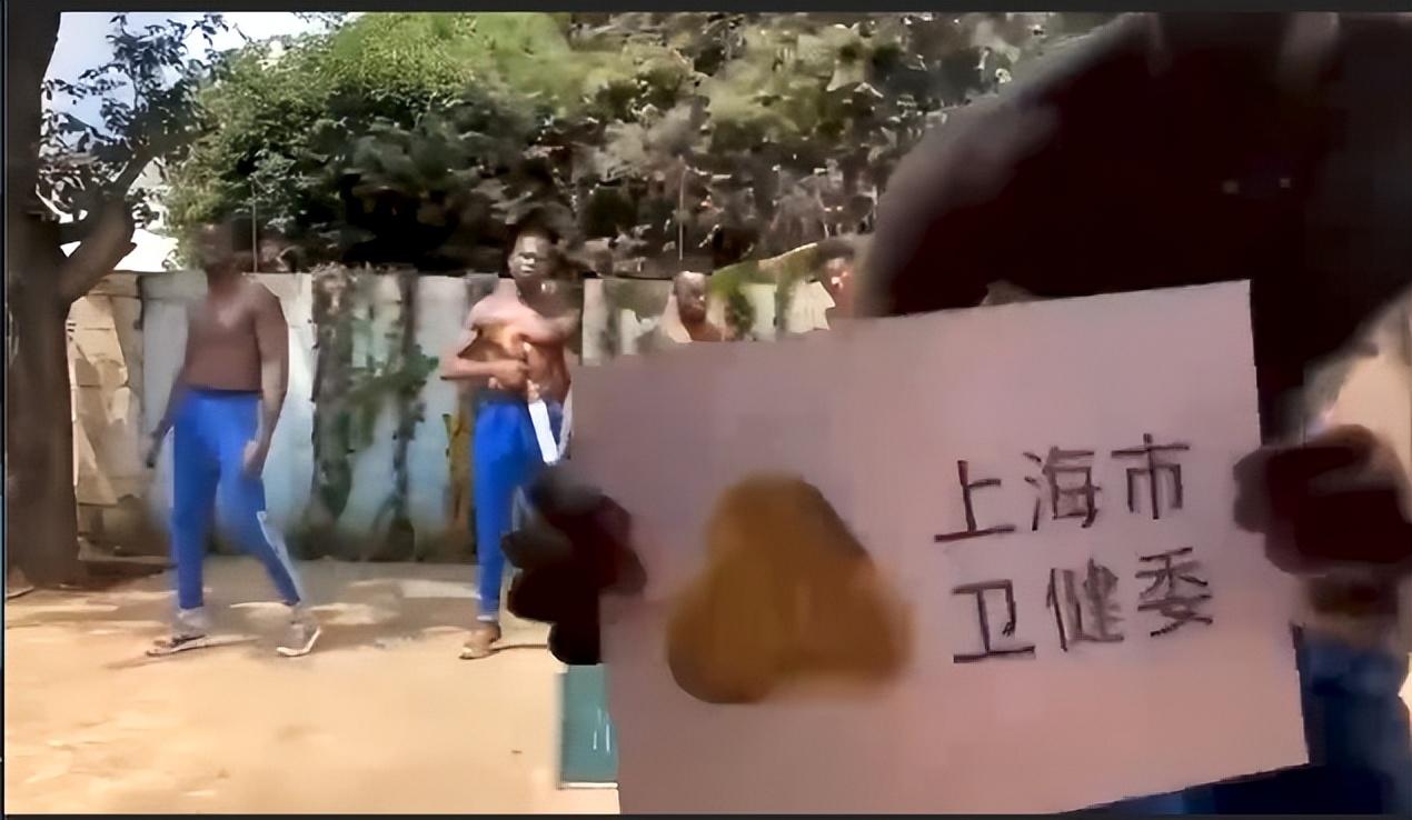 上海卫健委领导班子揭秘，副主任数量与职责分工全解析
