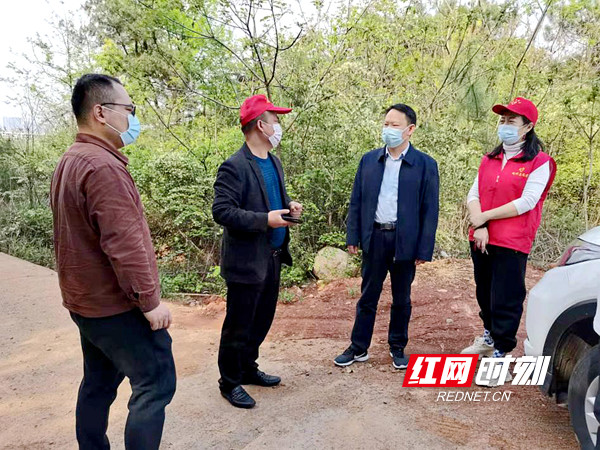 上海疫情与长沙疫情对比分析，最新动态、防控措施与未来趋势