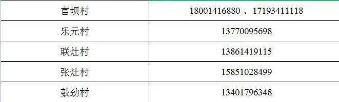 上海市疫情期间最新政策咨询电话全指南，一键获取权威信息
