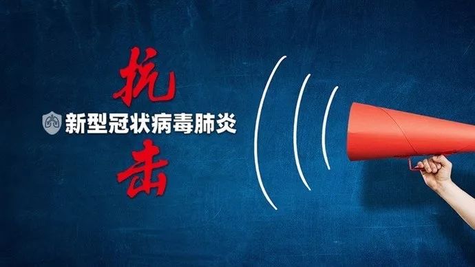 上海市疫情控制，精准施策与全民协作的成功典范
