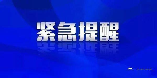 上海市疫情控制，精准施策与全民协作的成功典范