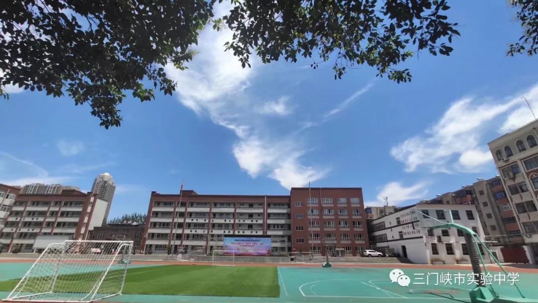 上海市疫情发布官网与沈阳最新防疫动态，权威信息获取指南