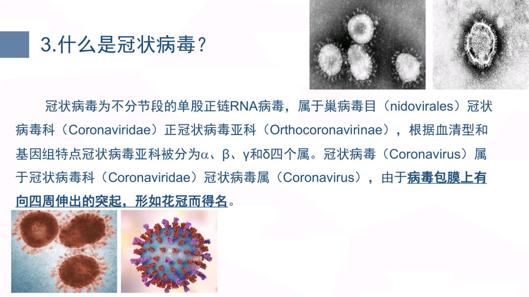 上海市新型冠状病毒肺炎疫情防控，策略、成效与未来展望