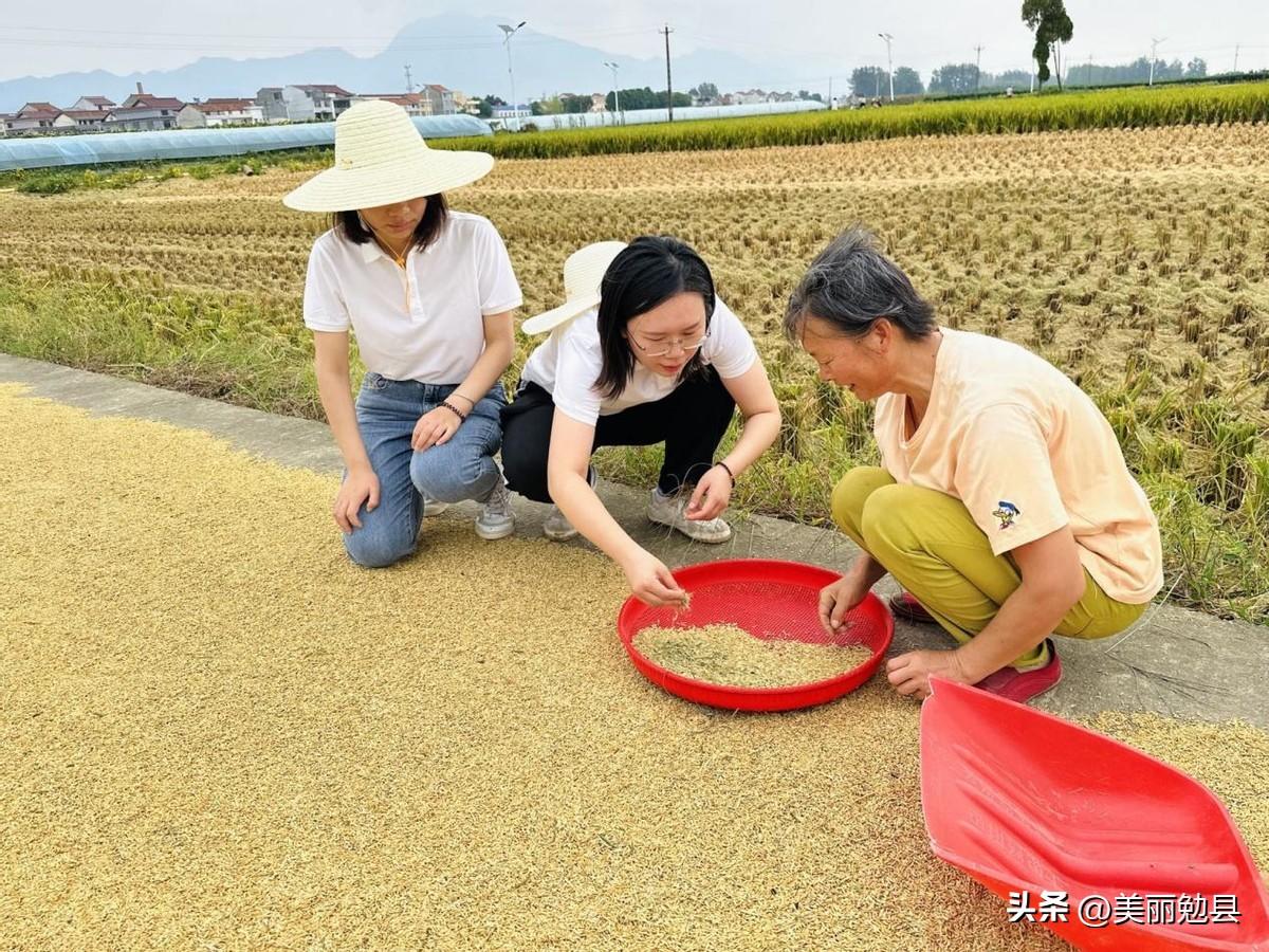 陕西省近三年财政支出分析，趋势、重点与未来展望