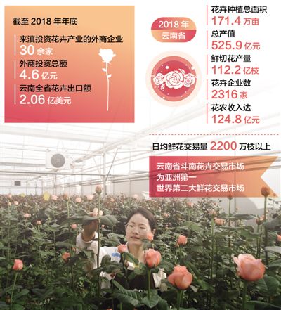 陕西丰源村现状调查，乡村振兴下的机遇与挑战