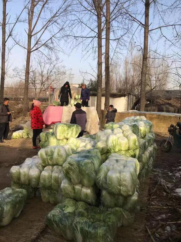 山东支援石家庄了吗？两地互助情谊深