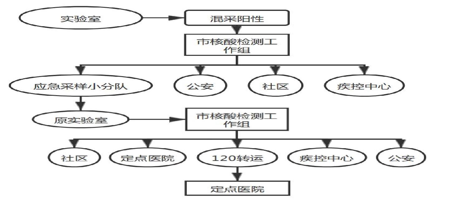 青海省疫情现状，最新防控措施与民众应对指南