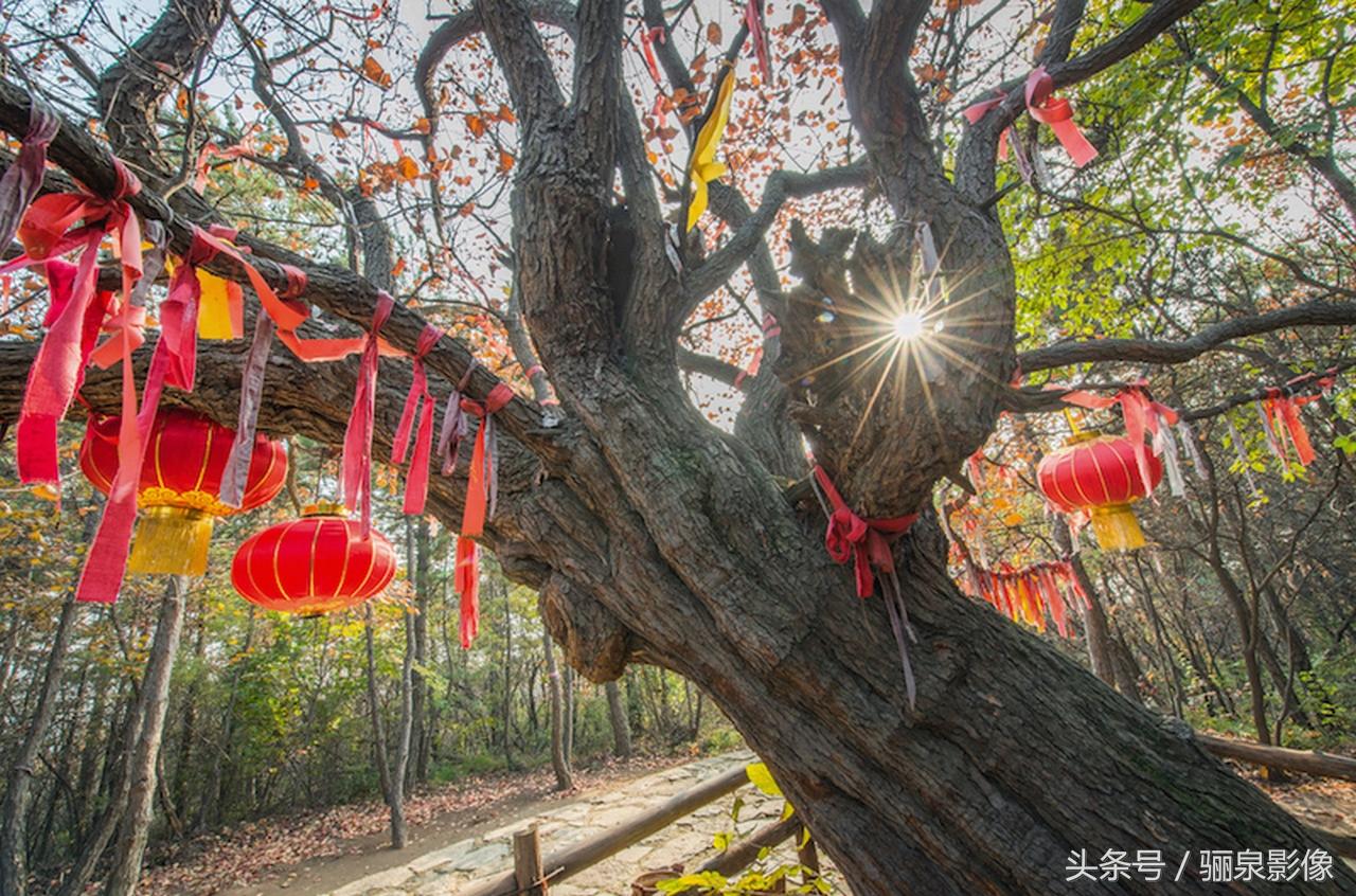 青海省疫情管控与天津政策对比，两地防控措施的异同分析