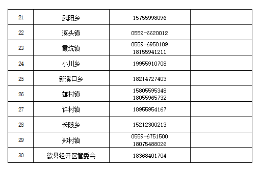 青海省疫情防控咨询电话全指南，最新号码、使用技巧与常见问题解答